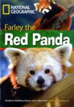 Bertrand.pt - Farley The Red Panda