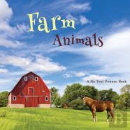 Farm Animals, A No Text Picture Book