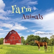 Farm Animals, A No Text Picture Book