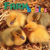 Farm Babies