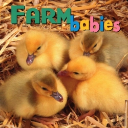 Bertrand.pt - Farm Babies