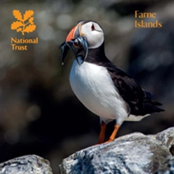 Bertrand.pt - Farne Islands