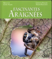 Fascinantes Araignees