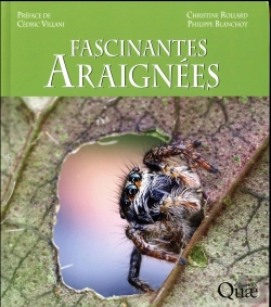 Bertrand.pt - Fascinantes Araignees