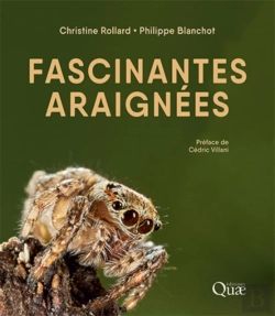Bertrand.pt - Fascinantes Araignées