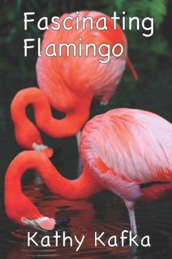 Bertrand.pt - Fascinating Flamingo