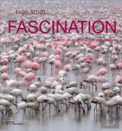 Fascination. Quand Les Animaux Se Rassem
