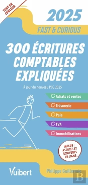 Fast & Curious : 300 Écritures Comptables Expliquées, À Jour Du Nouveau Pcg ; Toutes Les Écritures Indispensables, Commentées Et Expliquées