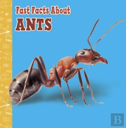 Bertrand.pt - Fast Facts About Ants
