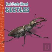 Fast Facts About Beetles