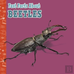 Bertrand.pt - Fast Facts About Beetles