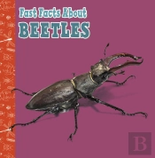 Fast Facts About Beetles