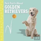Fast Facts About Golden Retrievers