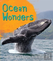 Fast Facts! Ocean Wonders
