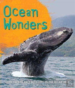 Bertrand.pt - Fast Facts! Ocean Wonders