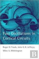 Fast Oscillations In Cortical Circuits