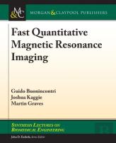 Fast Quantitative Magnetic Resonance Imaging