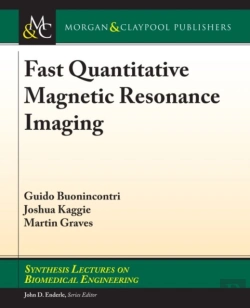 Bertrand.pt - Fast Quantitative Magnetic Resonance Imaging