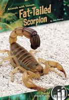 Fat-Tailed Scorpion