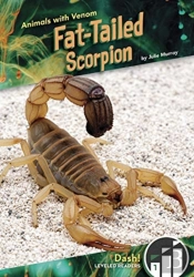 Fat-Tailed Scorpion