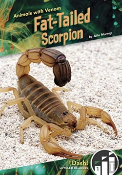 Bertrand.pt - Fat-Tailed Scorpion