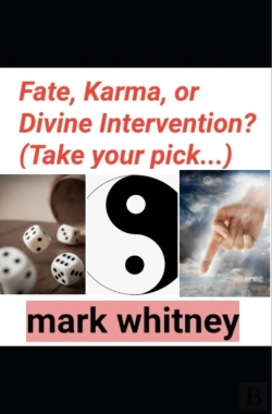 Bertrand.pt - Fate, Karma Or Divine Intervention? (Take Your Pick...)