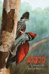 Fauna
