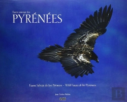 Bertrand.pt - Faune Sauvage Des Pyrénées