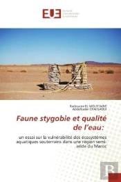 Faune Stygobie Et Qualite De L'Eau: - Un Essai Sur La Vulnerabilite Des Ecosystemes Aquatiques Soute