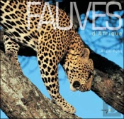 Fauves D'Afrique
