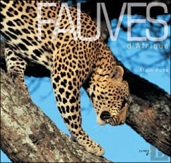 Bertrand.pt - Fauves D'Afrique