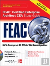 Feac Certified Enterprise Architect Cea Study Guide