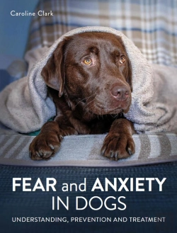 Bertrand.pt - Fear And Anxiety In Dogs