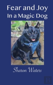 Fear And Joy In A Magic Dog
