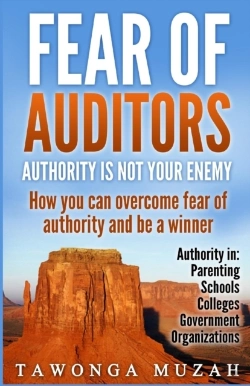 Bertrand.pt - Fear Of Auditors