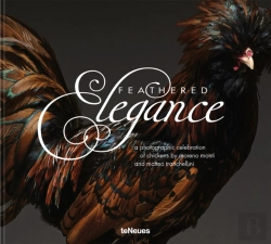 Bertrand.pt - Feathered Elegance