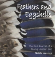 Feathers And Eggshells