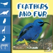 Feathers And Fur