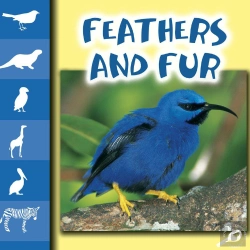 Bertrand.pt - Feathers And Fur
