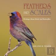 Feathers And Scales
