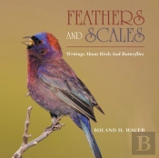 Feathers And Scales