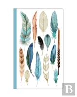 Feathers Deluxe Spiral Notebook