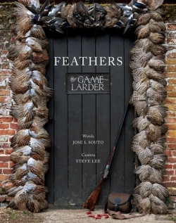 Bertrand.pt - Feathers