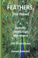 Feathers, The Novel