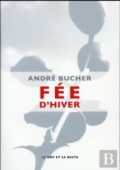 Fée D'Hiver