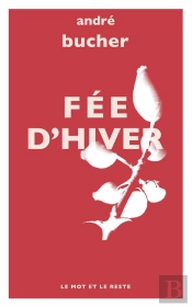 Fée D'Hiver