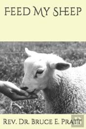 Feed My Sheep