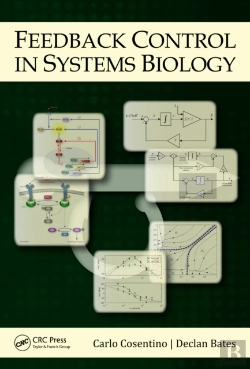 Bertrand.pt - Feedback Control In Systems Biology