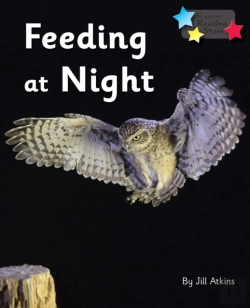 Bertrand.pt - Feeding At Night