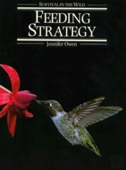 Bertrand.pt - Feeding Strategy